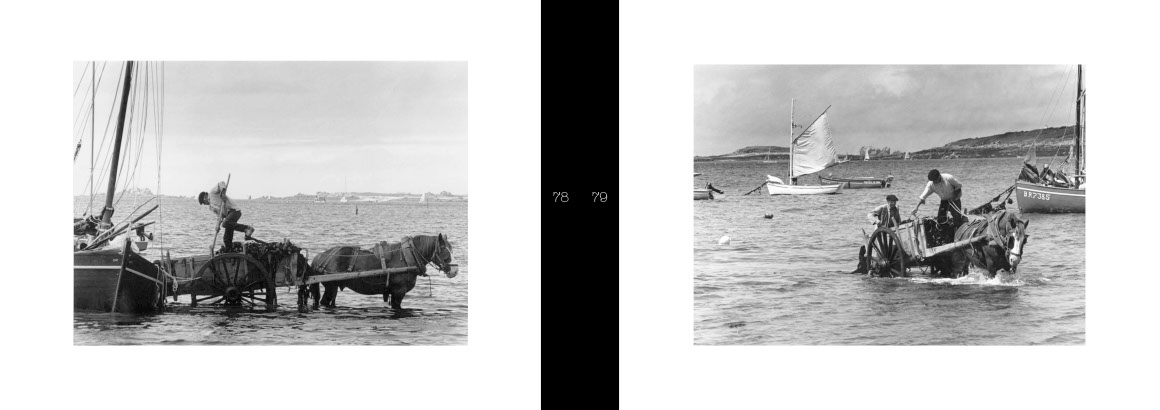 Beau livre : Le Cheval breton