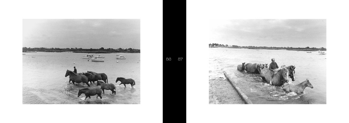 Beau livre : Le Cheval breton