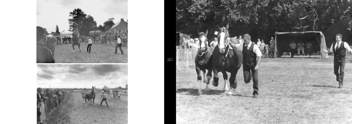 Beau livre : Le Cheval breton
