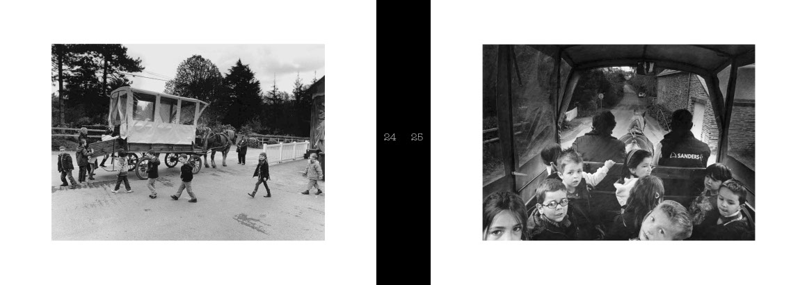 Beau livre : Le Cheval breton