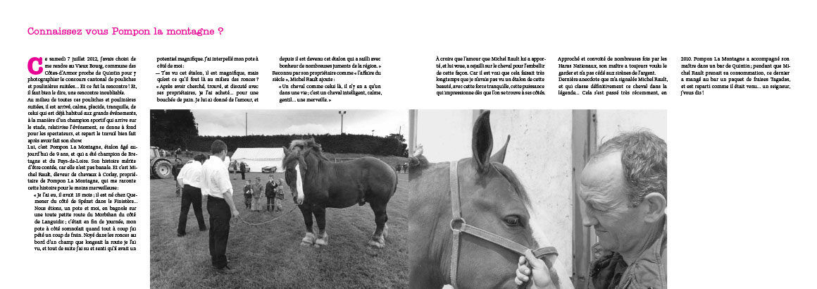 Beau livre : Le Cheval breton