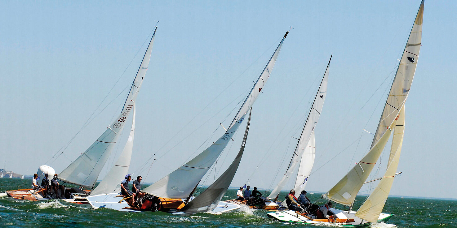 Beau livre : Le Requin