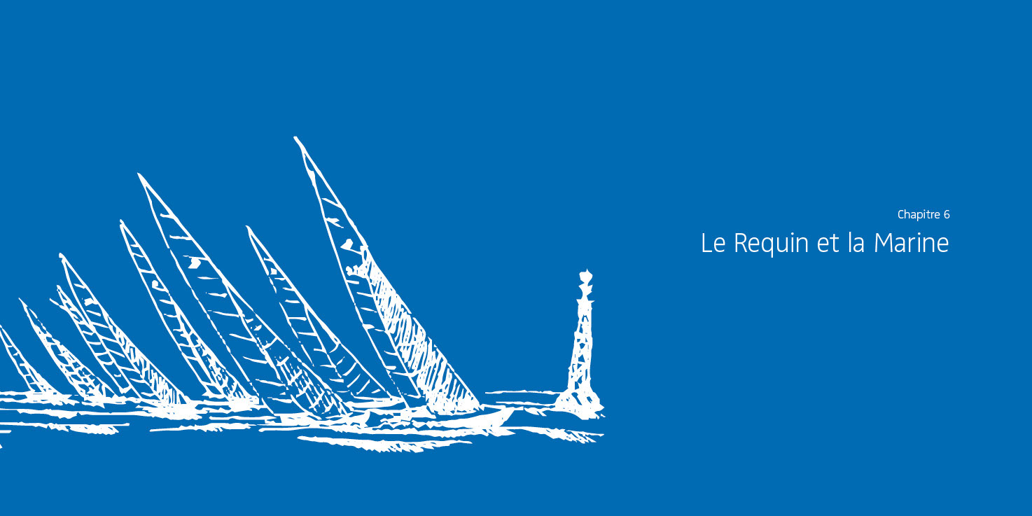 Beau livre : Le Requin