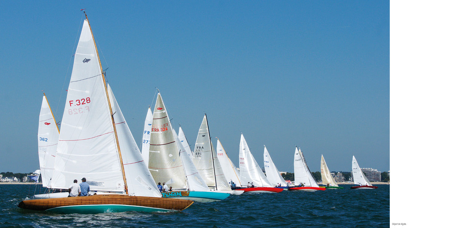 Beau livre : Le Requin