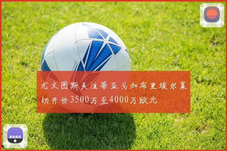 尤文图斯关注蒂亚戈加布里埃尔莱切开价3500万至4000万欧元