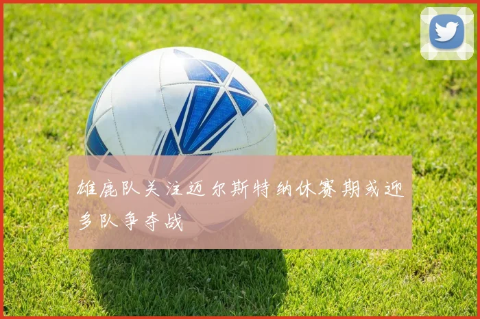 雄鹿队关注迈尔斯特纳休赛期或迎多队争夺战